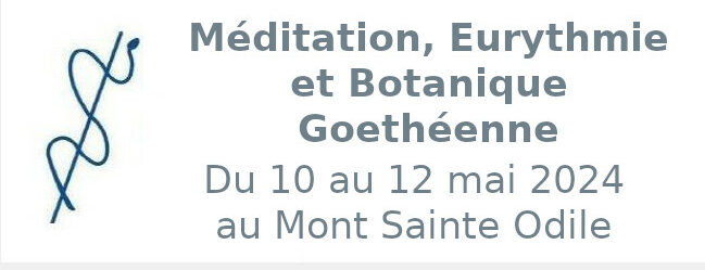 Méditation, Eurythmie et Botanique Goethéenne - Du 10 au 12 mai 2024 au Mont Sainte Odile