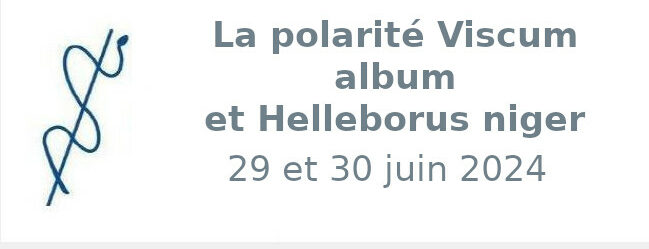 La polarité Viscum album et Helleborus niger 29 et 30 juin 2024